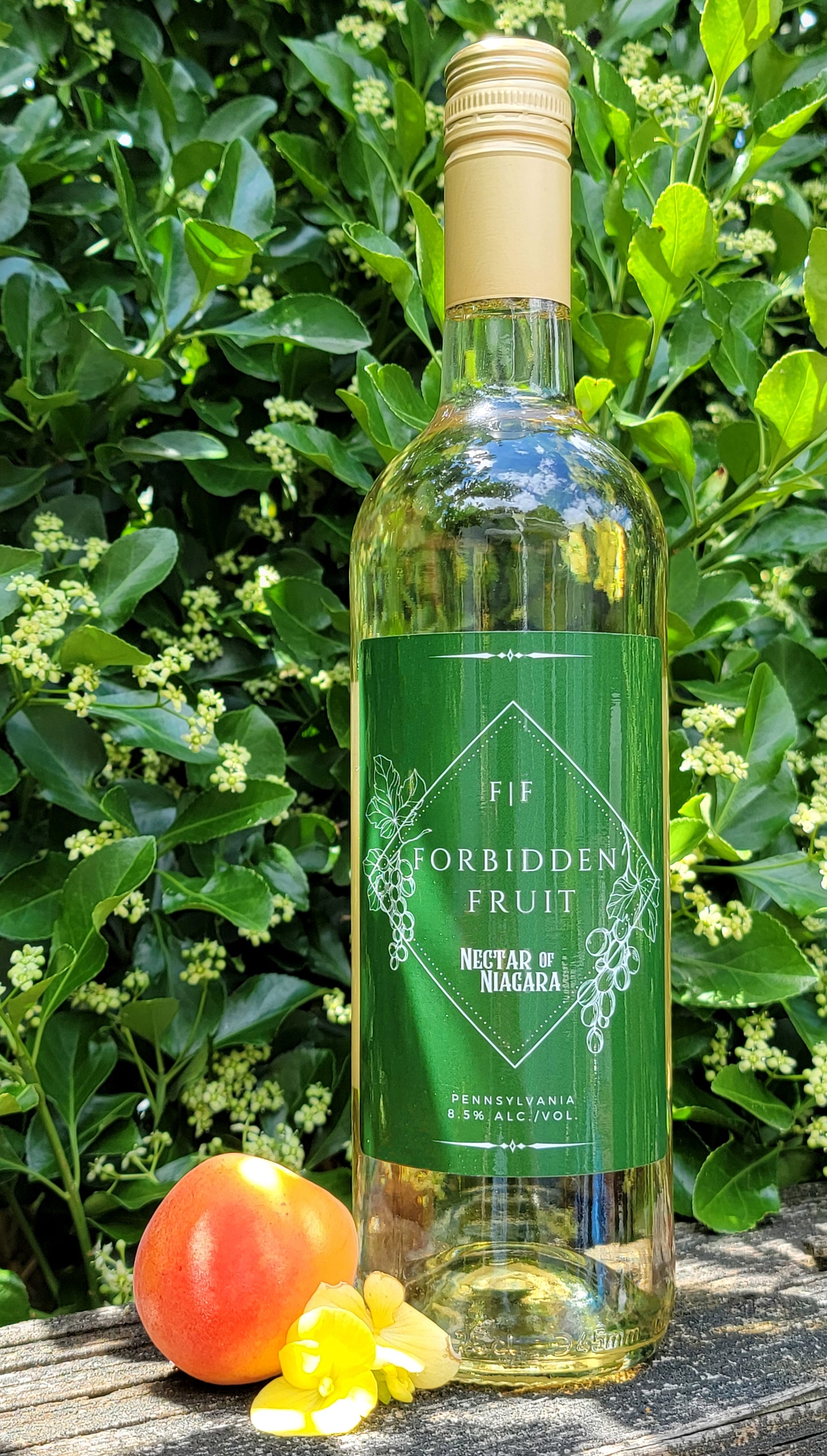 Nissley Vineyards Wines
